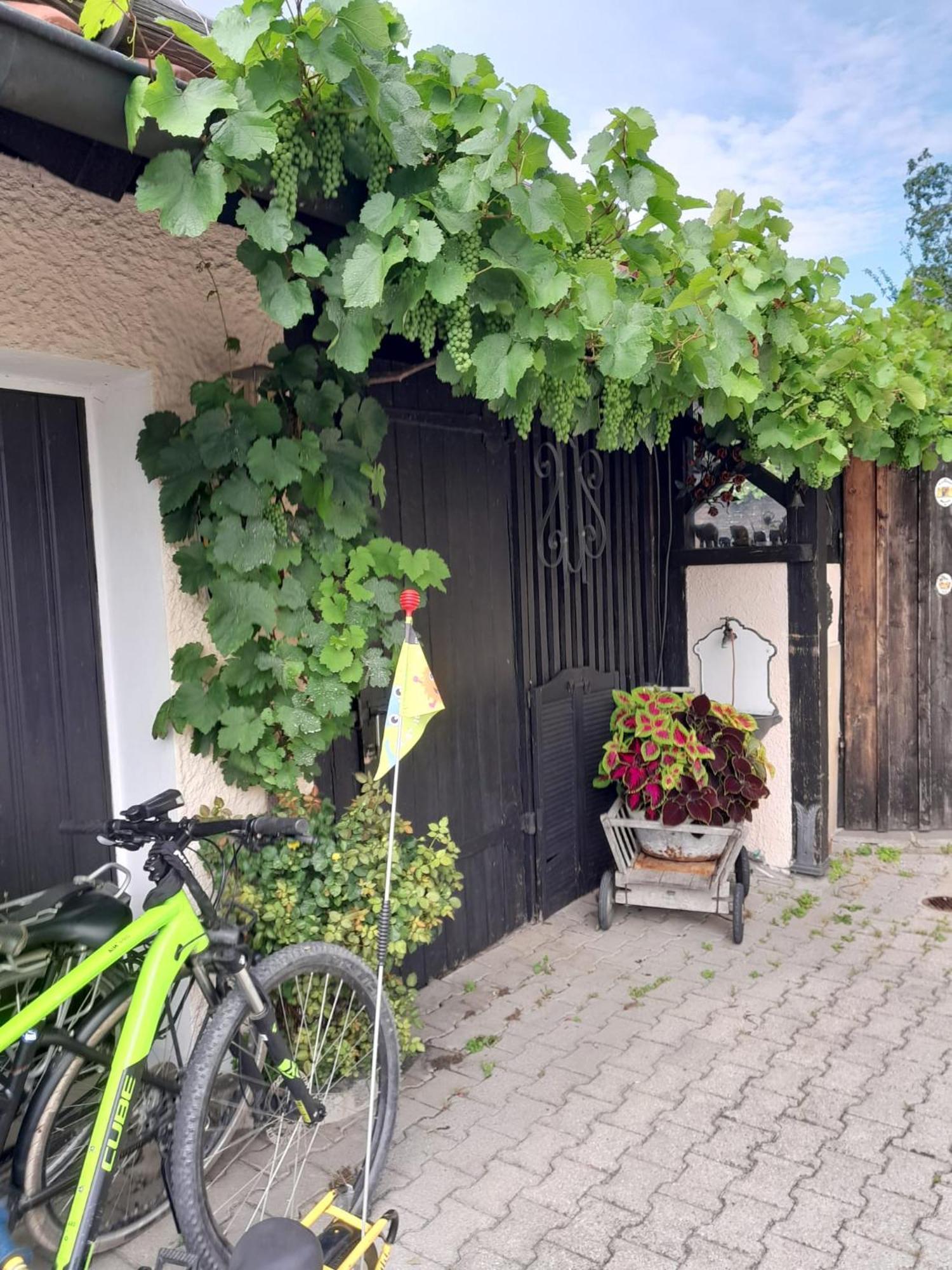Ferienhaus Resch Laufen Dış mekan fotoğraf